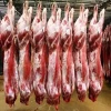 FROZEN SHEEP MEAT | GOAT MEAT | LAMB MEAT/ CARCASS