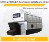 Full automatic biomass fired hot water boiler steam boiler replace coal diesel