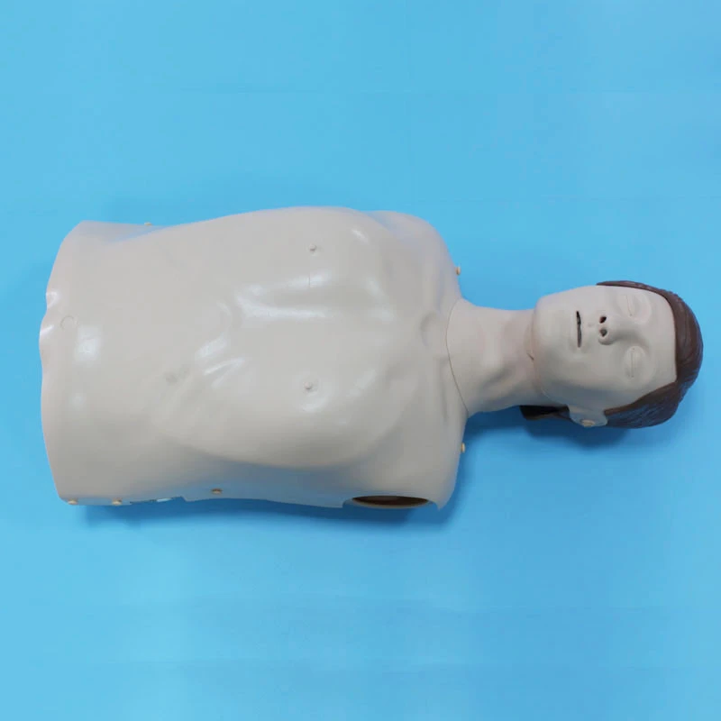 Full Medical Made In China Child And Adult High Quality First Aid Kits For Sale Manikin Half Body Cpr Training Model (male)