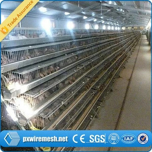 galvanized iron wire cage for quail,laying cage for quail,quail battery cages