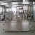 Import Gas-filled beverage mineral water small bottle water filling machine automatic liquid filling machine from China