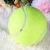 Import giant tennis ball pet from China
