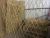 Import good quality bamboo fencing from China
