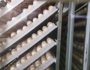 Good Quality Full Automatic 20000 Eggs Incubator Egg Incubator Made In China Eggs Farming Machine Incubator