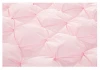Goose Down Pink Quilt Duvet Comforter Luxury Twisted Design 95% White 100% Cotton,100% Cotton 233T Optical White Quilted Adults