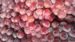 Grade A Fresh Red Globe Grape