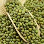Green Mung Beans Myanmar or any other origin