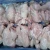 Import Halal Chicken Feet, Paws, Breast, Whole Chicken, Legs and Wings from Thailand