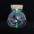 Import Handmade High Borosilicate Terrarium Glass Bottle for Plant with LED Light from China
