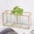 Import Hicheon 2020 wholesale black large crystal vases clear geometric glass terrarium copper plant glass terrarium from China