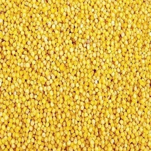 High grade dried 2017 crop yellow millet for human consumption