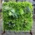 Import High quality artificial vertical garden green wall plant from China