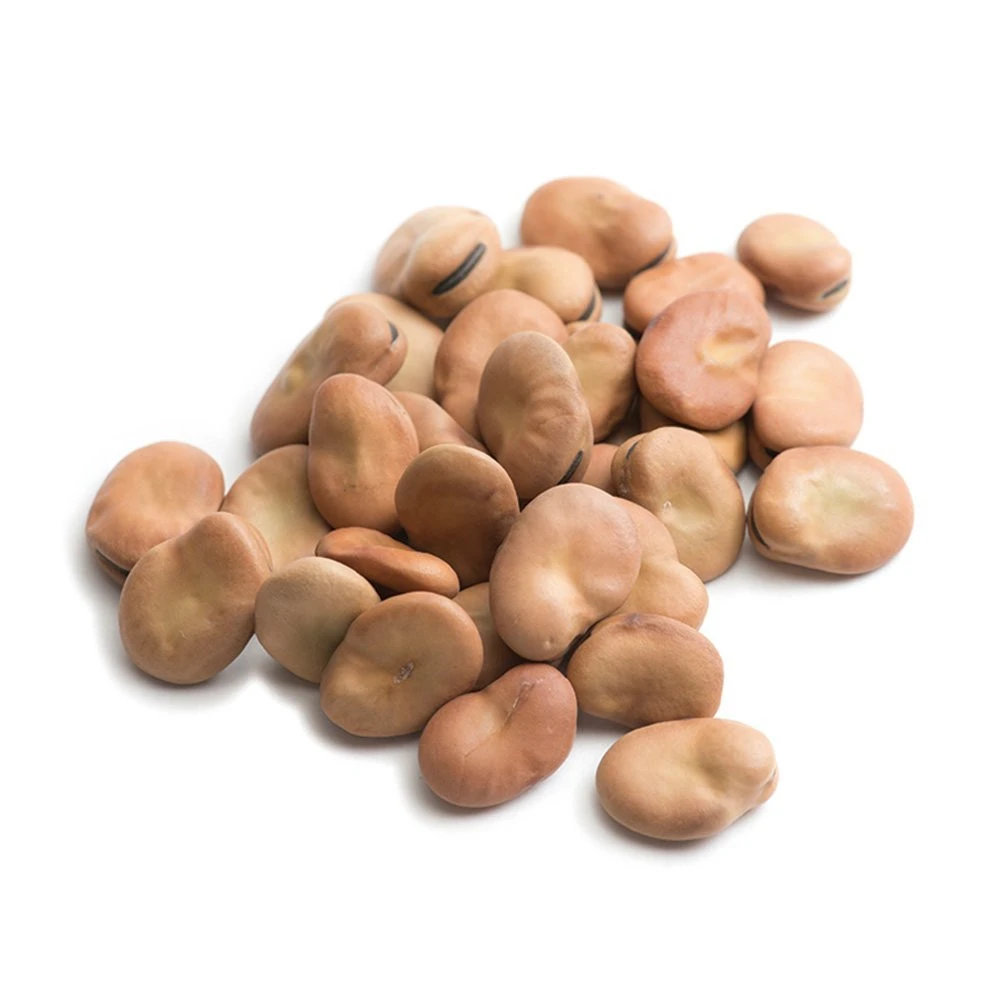 high quality Chinese dried broad fava beans