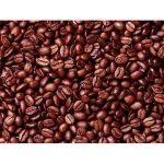 High Quality  Cocoa beans , Dried Criollo Cocoa Beans ,Organic Roasted Cacao Beans