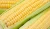 Import High Quality Good Tasty Thailand Sweet Fruit Corn from Thailand