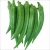 Import High quality grade A sliced or whole frozen fresh okra for sale from Thailand