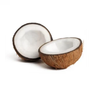 High Quality Indonesian Semi Husk Coconut for Sale with Export Standard