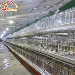 High quality new coming bird heavy equipments with strong hot galvanized feed trough