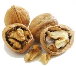 High Quality Organic YBV 185 Washed Paper Skin Walnut In Shell