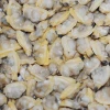 High Quality Seafood Frozen Shellfish Clams