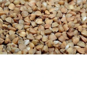 High quality sweet raw buckwheat
