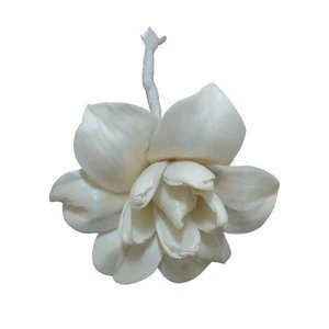 High Quality Top Selling Scented Sola Wood Dried Flower