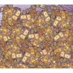 HIGH YIELD GOLD RECOVERY CPU CERAMIC PROCESSOR SCRAPS/Ceramic CPU scrap