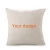 Import Home Textile Custom Pattern Printed Pillow Case with Zipper from China