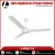 Import Home Usage 12 Volt Ceiling Fan from India from India