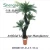 Import hot sale artificial bonsai , decorative foliage plants for home interior decorator from China