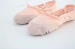 hot sale Cheap Flat Ballet Cat Claw Shoes Dance Shoes spanish dance shoes