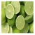 Import Hot Sale Fresh Green Seedless Lime From Vietnam from Vietnam