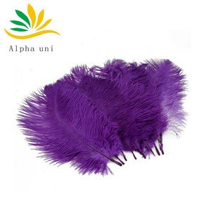 Hotel Wedding Decoration Ostrich Feather for Art Performance