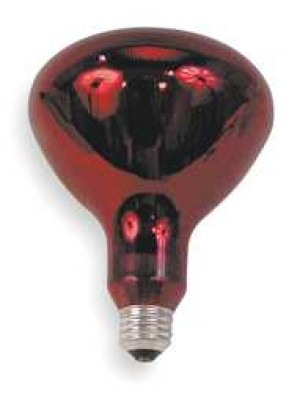 Incand Reflector Heat Lamp R40 250W