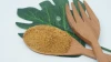 indonesia granulated organic arenga brown sugar