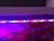 Import indoor agricultura hydroponic double ended bar strip full spectrum t5 t8 led grow light fixture plant lamp for vertical farming from China