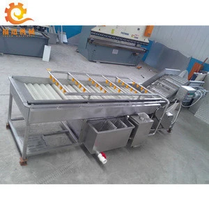 Industrial fruits and vegetable washer