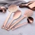 Import Kitchen gadgets accessories cooking tools stainless steel utensil set from China