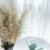 Korean ins Nordic style white reed pampas immortal imitation flower dried flower decoration