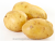 Import large potato seed for potato importers, best potato seeds for sale from China