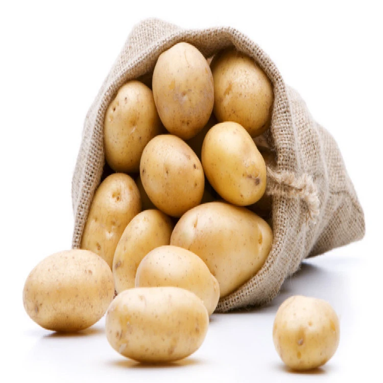 Large Seed Fresh Potato Supplier Sweet Potato