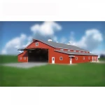 Low Cost Steel Structure Aircraft Hangar