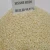 Import Low price high oil content sesame seeds from INDIA-what&#x27;s app:+91 9638943111 from India