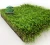 Import Lrtificial Grass Mat Artificial Carpet Artificial Pampas Grass Artificial Grass from China