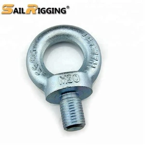 M24 C15 Carbon Steel Forged Galvanized Din580 Lifting Eye Bolt