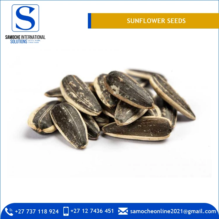 Manufacturer and Supplier of New Crop Sunflower Seeds for Sale