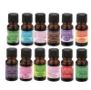 Manufacturer Bulk natural Fragrance of wholesale Water Soluble aromatherapy Essential Oil