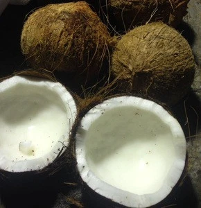 Mature Semi Husked Coconut