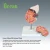 Import medical science subject and simulation anatomical Human PVC Kidney With Adrenal Gland for teaching from China