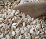 melon seeds egusi seeds